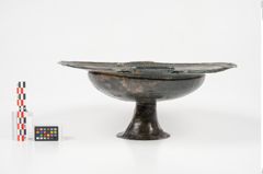 Foto von Bronzebreitrandfußschale (NHMW-PRAE-025182)